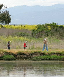 Shoreline Park, Mountain View